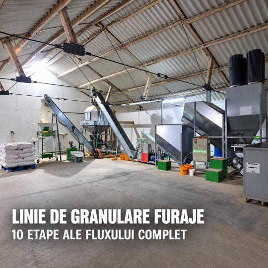 Linie de granulare furaje 500–1000 kg/h cu transportoare și echipamente integrate